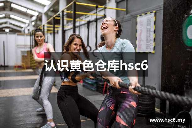 认识黄色仓库hsc6